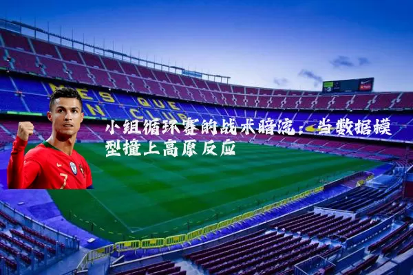 小组循环赛的战术暗流：当数据模型撞上高原反应